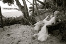John Williamson Wedding Photography - Ylang Ylang Montezuma Costa Rica