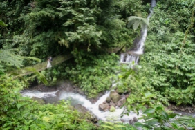 Destination Weddings in the Jungle of Costa Rica