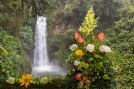 John Williamson Destination Wedding Photography at La Paz Waterfall Garden